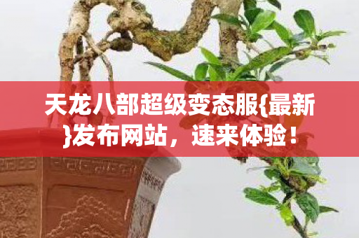 天龙八部超级变态服图片