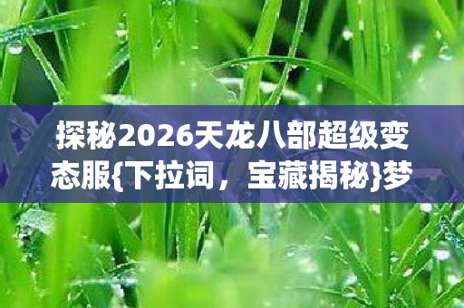 探秘2026天龙八部超级变态服图片