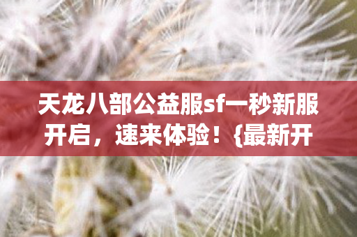 天龙八部公益服sf一秒新服开启图片