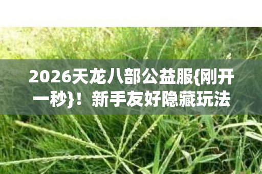 2026天龙八部公益服图片