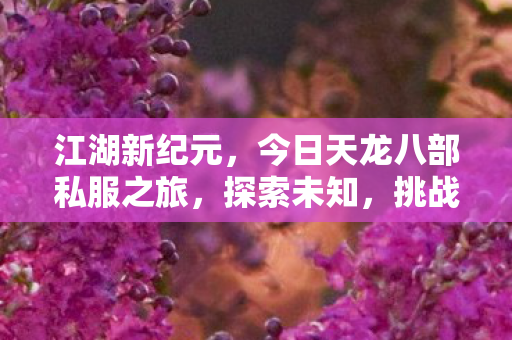 今日天龙八部私服之旅图片