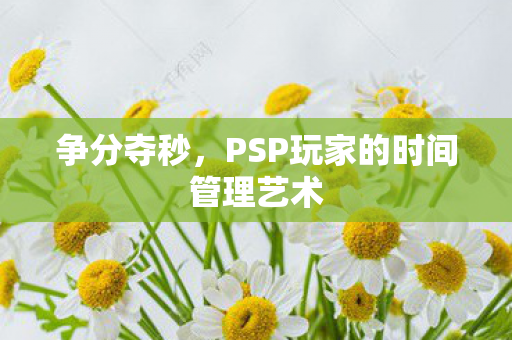 PSP玩家的时间管理艺术图片