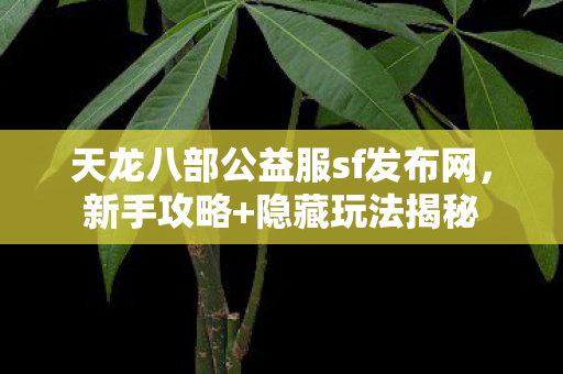 天龙八部公益服sf发布网图片