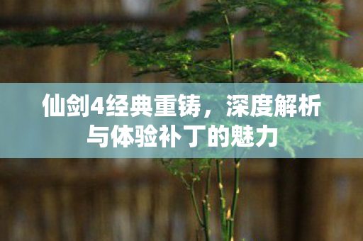 深度解析与体验补丁的魅力图片