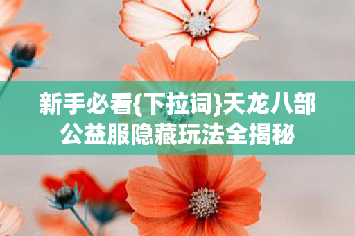 天龙八部公益服隐藏玩法全揭秘图片