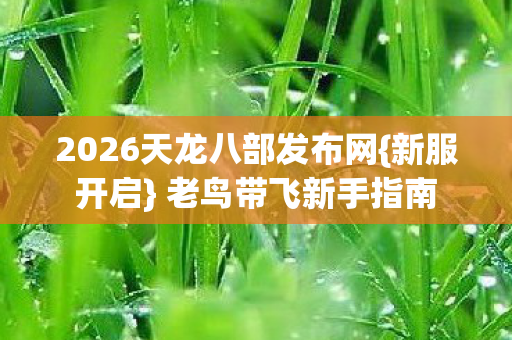 2026天龙八部发布网图片