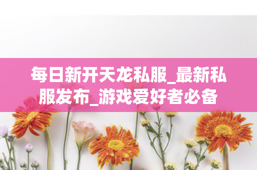 每日新开天龙私服图片