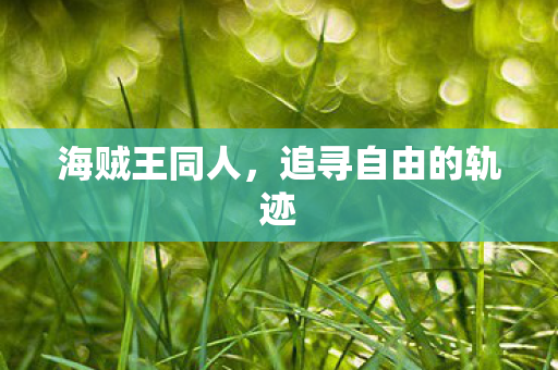 追寻自由的轨迹图片