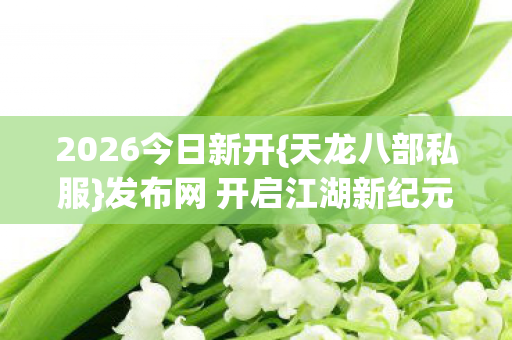 发布网 开启江湖新纪元奇遇图片