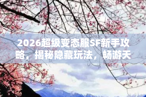2026超级变态服SF新手攻略图片