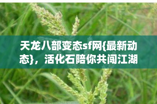天龙八部变态sf网图片