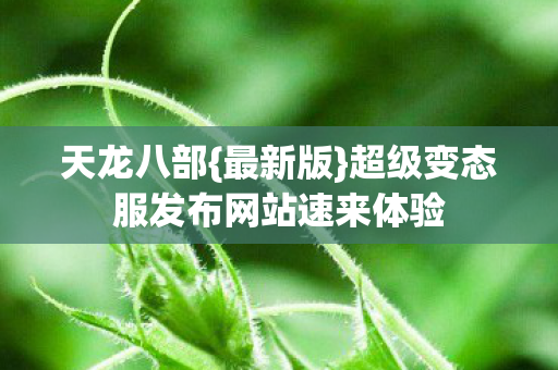 超级变态服发布网站速来体验图片