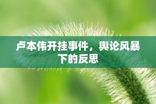 舆论风暴下的反思图片