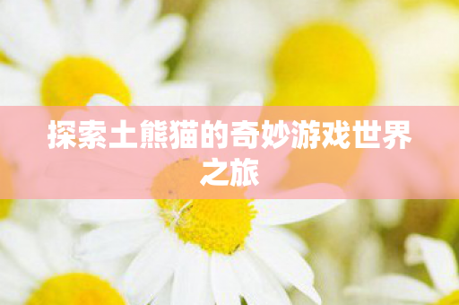 探索土熊猫的奇妙游戏世界之旅图片