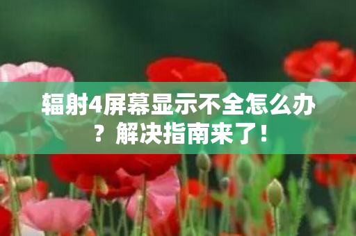 辐射4屏幕显示不全怎么办图片
