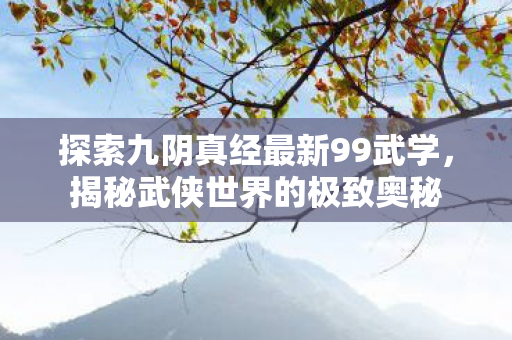 探索九阴真经最新99武学图片