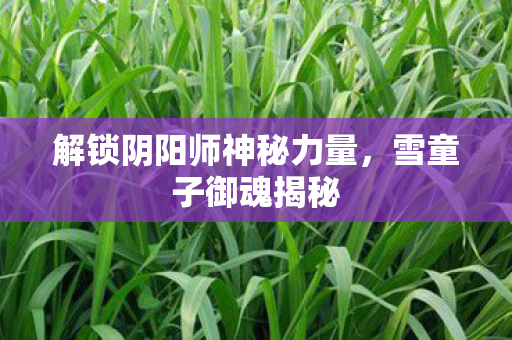 解锁阴阳师神秘力量图片