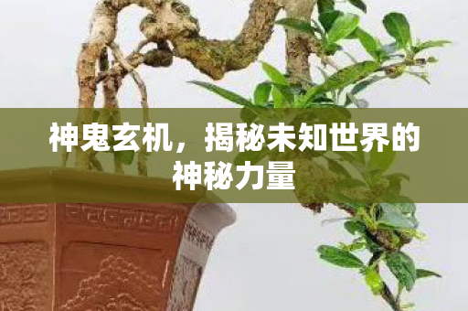 揭秘未知世界的神秘力量图片