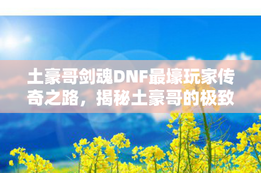 土豪哥剑魂DNF最壕玩家传奇之路图片