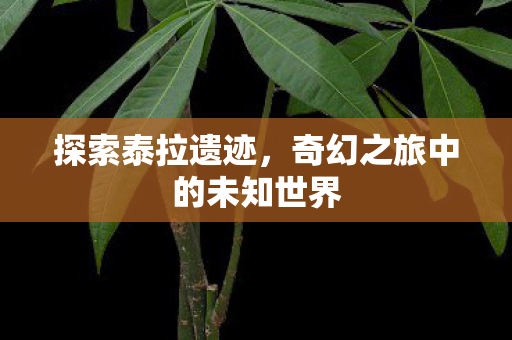 奇幻之旅中的未知世界图片