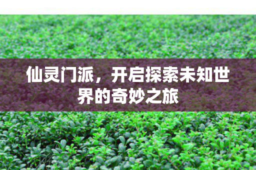 开启探索未知世界的奇妙之旅图片