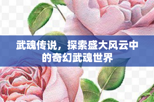 探索盛大风云中的奇幻武魂世界图片