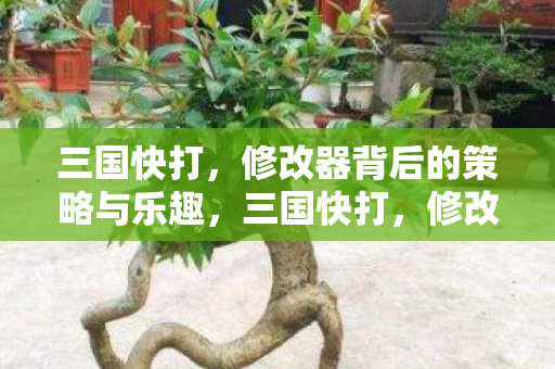 修改器背后的策略与乐趣图片