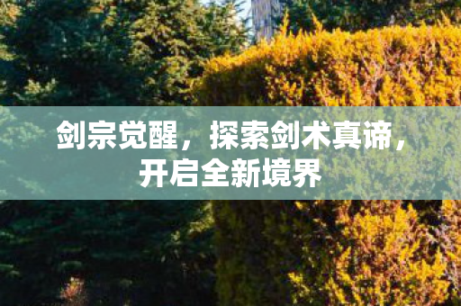 探索剑术真谛图片