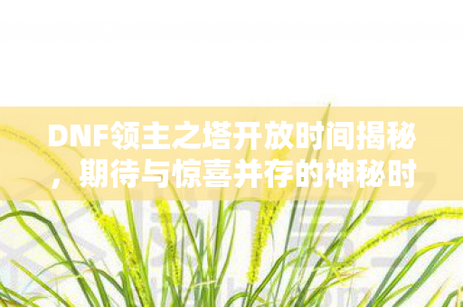 DNF领主之塔开放时间揭秘图片