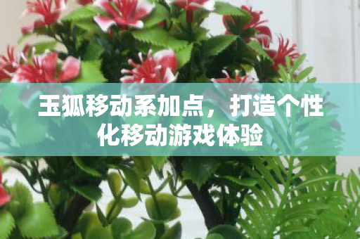 打造个性化移动游戏体验图片