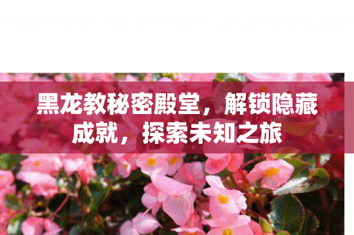 黑龙教秘密殿堂图片