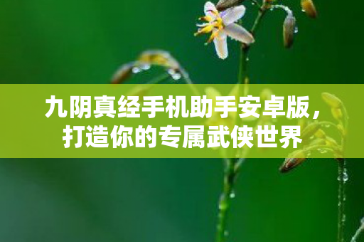 九阴真经手机助手安卓版图片