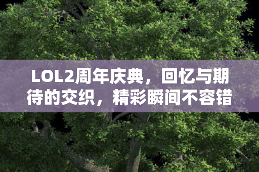 LOL2周年庆典图片