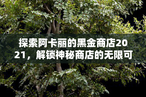 探索阿卡丽的黑金商店2021图片