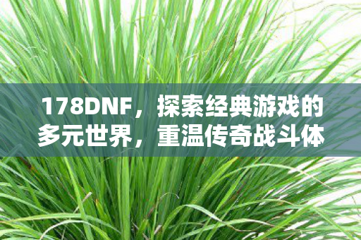 探索经典游戏的多元世界图片