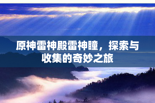 探索与收集的奇妙之旅图片