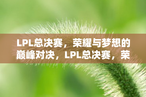 荣耀与梦想的巅峰对决图片