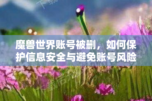 如何保护信息安全与避免账号风险图片