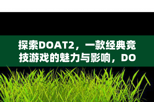 一款经典竞技游戏的魅力与影响图片