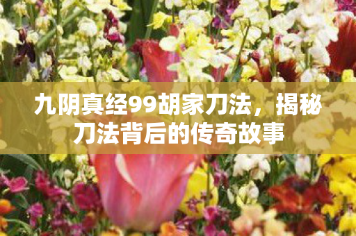 揭秘刀法背后的传奇故事图片