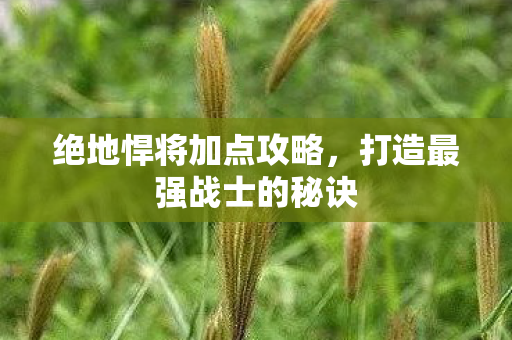 打造最强战士的秘诀图片