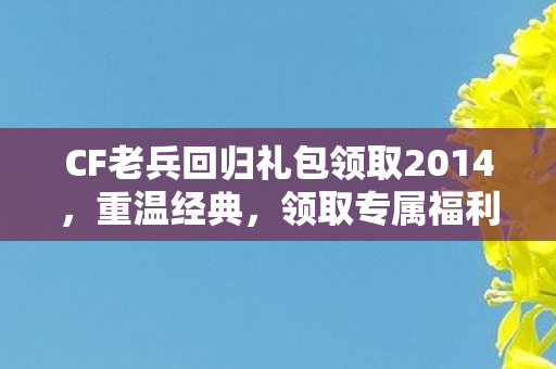 CF老兵回归礼包领取2014图片