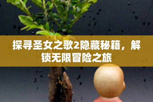 探寻圣女之歌2隐藏秘籍图片