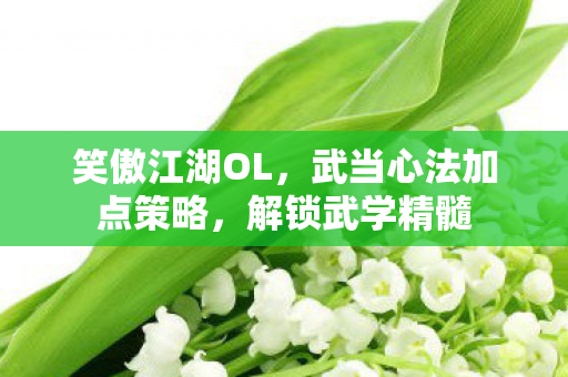 武当心法加点策略图片