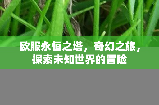 探索未知世界的冒险图片
