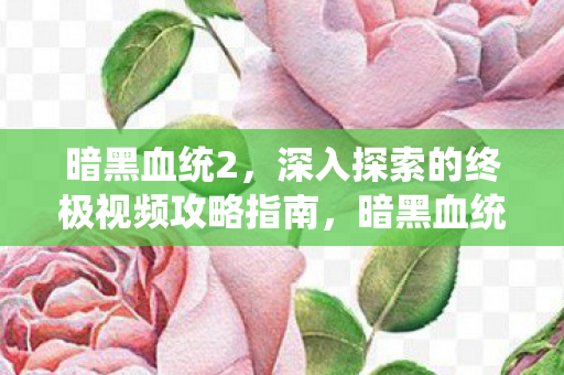 深入探索的终极视频攻略指南图片