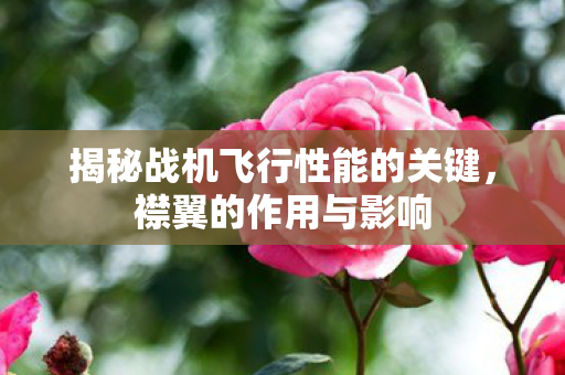 揭秘战机飞行性能的关键图片