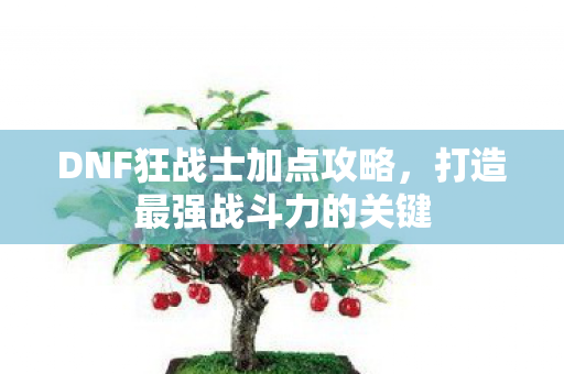 DNF狂战士加点攻略图片