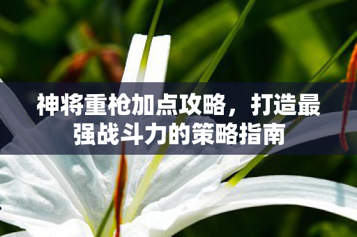 打造最强战斗力的策略指南图片