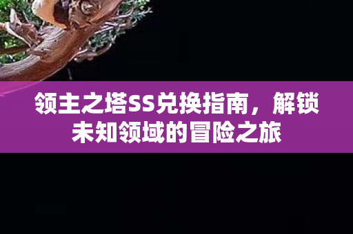 解锁未知领域的冒险之旅图片